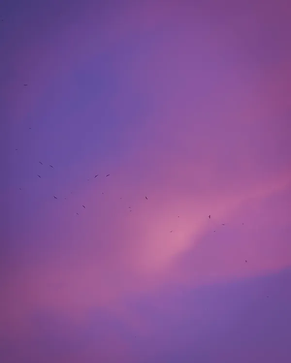 IMG_5662